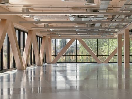 Paradise SE11 Mass Timber Office